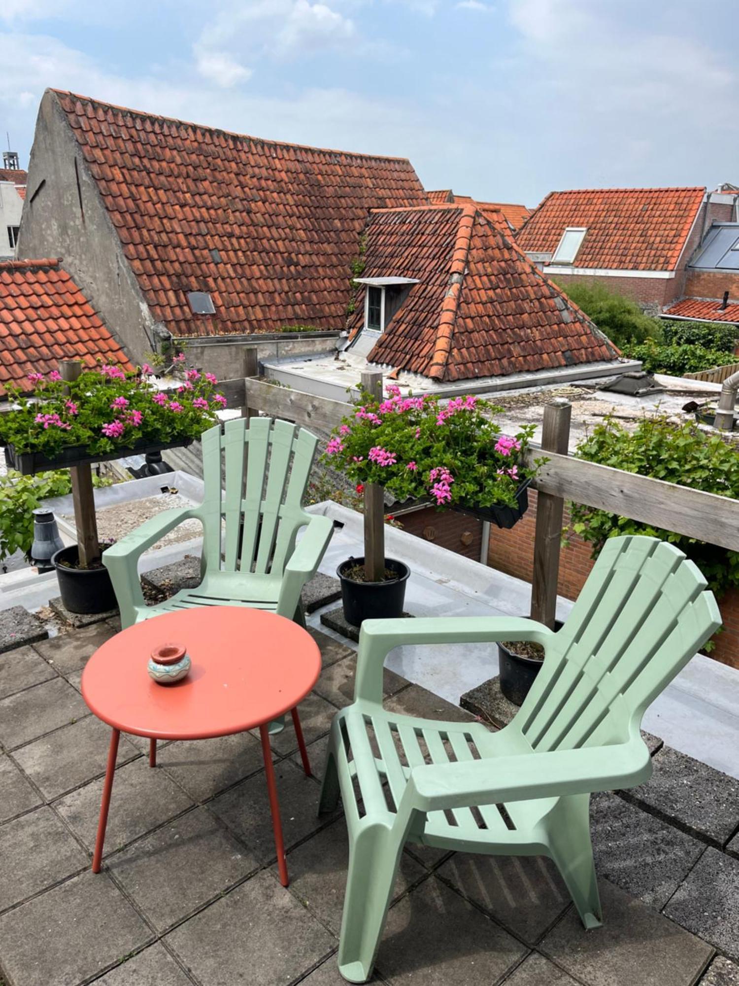 지릭제이 De Molen B&B 외부 사진
